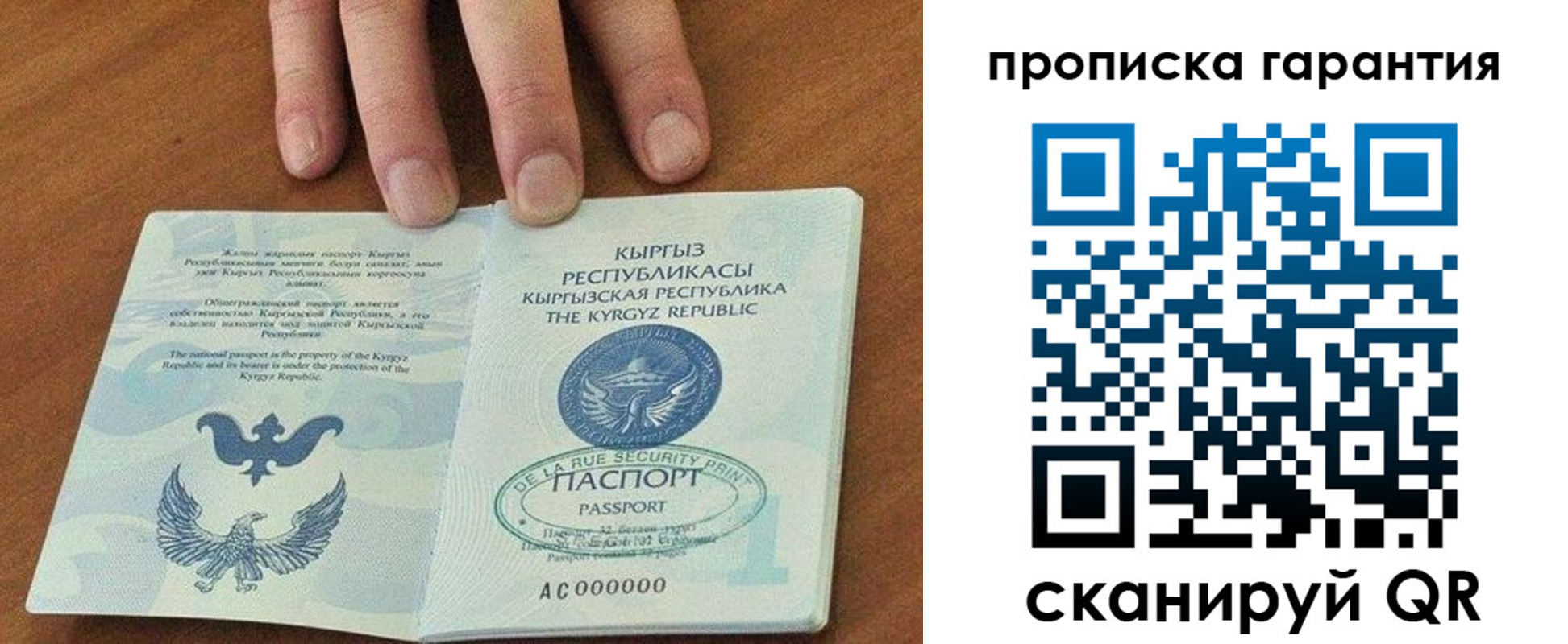 найти адрес прописки в Протвино